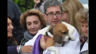 TOM ANIMALPASTOR ~ LA LACRIMA DI DIO