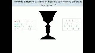 Hillel Adesnik: 3D multiphoton optogenetic control of neural ensemble activity