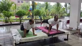 Navkar green योग दिवस 2025 active yoga group