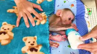 Mom prepare milk for adorable baby Bella