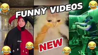 24 Hours of Nonstop Laughter with These Videos!