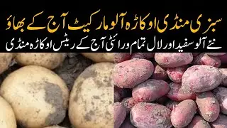 Okara mandi today potato live rate aalu boli okara mandi 15.01.2026