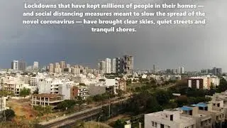 CORONAVIRUS Lockdown | Wild Animals on streets | Pollution free world