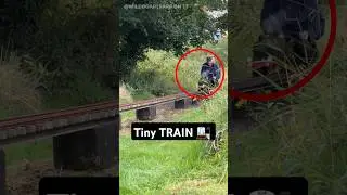 Tiny Train, Huge Power 🚉