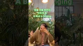 &lsquo;깡총 깡총 뛰면서&rsquo; 산토끼 송 A Bird is Singing #birds #singing #새