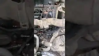 Volkswagen Polo oil coolant mix problem change oil cooler body thermostat valve #mechanic#Volkswagen
