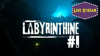 Taunting Fate - Labyrinthine