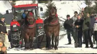 Karnawał furmański 2011 Złatna cz 2