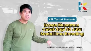 Dosen Musamus Cetak Sapi 30 Juta Modal Ilmu Breeding