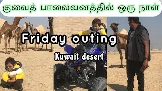 desert in kuwait|buggy ride|camel ride|desert  camping|visit desert of kuwait|tamil vlog|kuwait vlog
