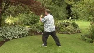 Simple tai chi form.mov