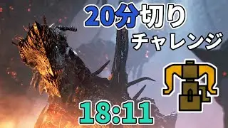【モンハンワイルズ】上位ゴクマジオス　全武器種２０分切りチャレンジ（サポハンあり）『ヘビィボウガン』編（18分11秒）【Steam版】