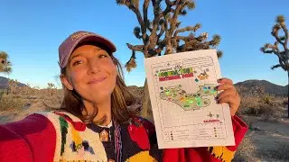 Explore Joshua Tree National Park with Traveling Miss T.