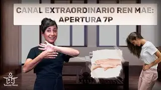 Ren Mai en Medicina Tradicional China: Todo lo que Necesitas Saber 🌟