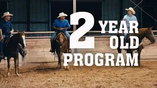 The Foundation of Champions: 2-Year-Old Trainers Spotlight