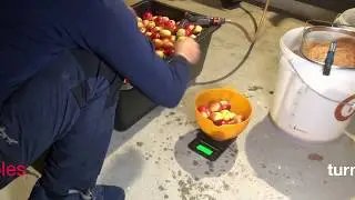 Make cider from garden apples