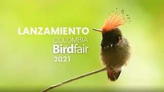 Lanzamiento Colombia BirdFair 2021, 