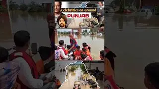 Punjab flood helping 😰 celebrities on ground #diljitdosanjh #ammyvirk #punjab #help