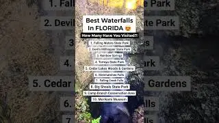 📍Waterfalls in Florida #florida #waterfall #floridatravel #hiddengems #waterfalls #floridalife