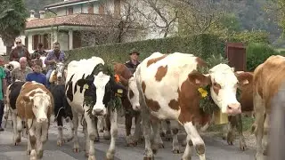 Nel basso Feltrino la 