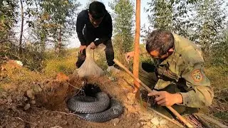 Лучшие видеоролики о ловле змей&hellip;