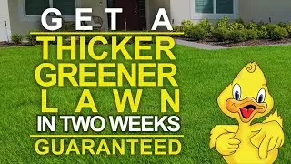 Two Week Guarantee - Drake Lawn and Pest Control