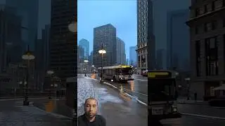 Snowfall Adds a New Layer of Beauty to Chicago's Skyline #chicago #travel #shorts #foryou #usa