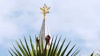 Tropical plant framing russian double-headed eagle in Moscow Kremlin