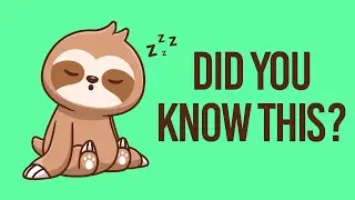 Animal for Kids - What is a Sloth! #cat #sloth #viral #viralvideo #love  #animals #animation