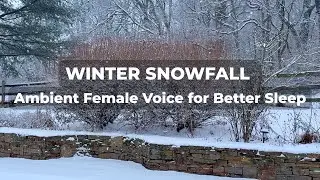 Relax Into Sleep with Winter Snow | Uninterrupted Ambient Sounds