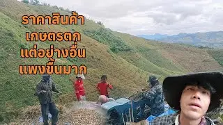 เกษตรกรยิ่งทำยิ่งเจ็บ!!!