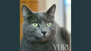 Yuri