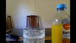 Tropicana light orange juice no plump Drink review