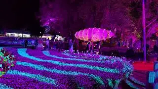 👍 🥀Floriade Nightfest Roving Entertainment , Mini Train & Lit Up Floral Display Fri 4th Oct 24