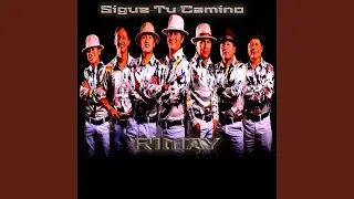 Sigue Tu Camino