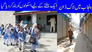 Schools Shut Down for a Week | Smoke in Lahore | Bluelane News