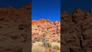 Red Canyon: Drive through the Heart of Nature #fypシ