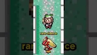 Uncover The Rarest Gym Leader Battle