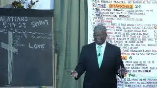 THE TRUE VINE AND THE BRANCHES
