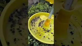Protecto Trap Mini - Solar Light Insect Trap | +919024025056