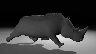 Rhino Run Cycle