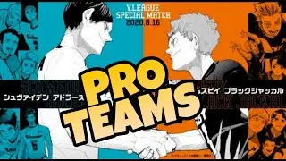 All Professional Teams in Haikyuu | HAIKYUU!