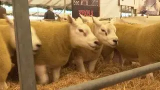 Ram Sales attract thousands to the Borders