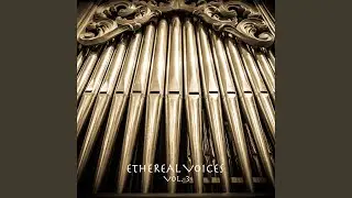 Song of Awakening Meditation (Church Organ Rework)