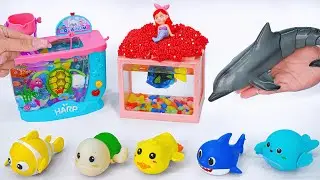 [Toy asmr] RC Shark & Dolphin & Mosasaurus & Zuru Fish & Harp Aquarium ASMR Satisfying with Unboxing