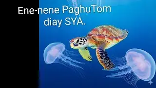Turtle  devouring jelly fish 
