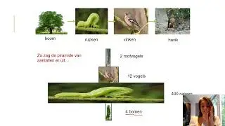 Samenvatting Ecologie & Duurzaamheid 2MHV Biologie Voor Jou MAX