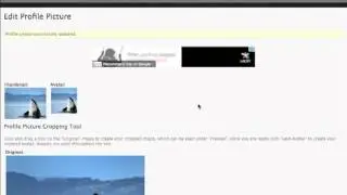 Photo Sharing Websites Free - Profile Photo from Album - Shutter Pals