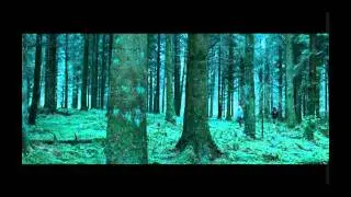 Shrooms - trip senza ritorno trailer ita