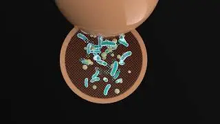 Biogrouting by bioencapsulation - a new approach